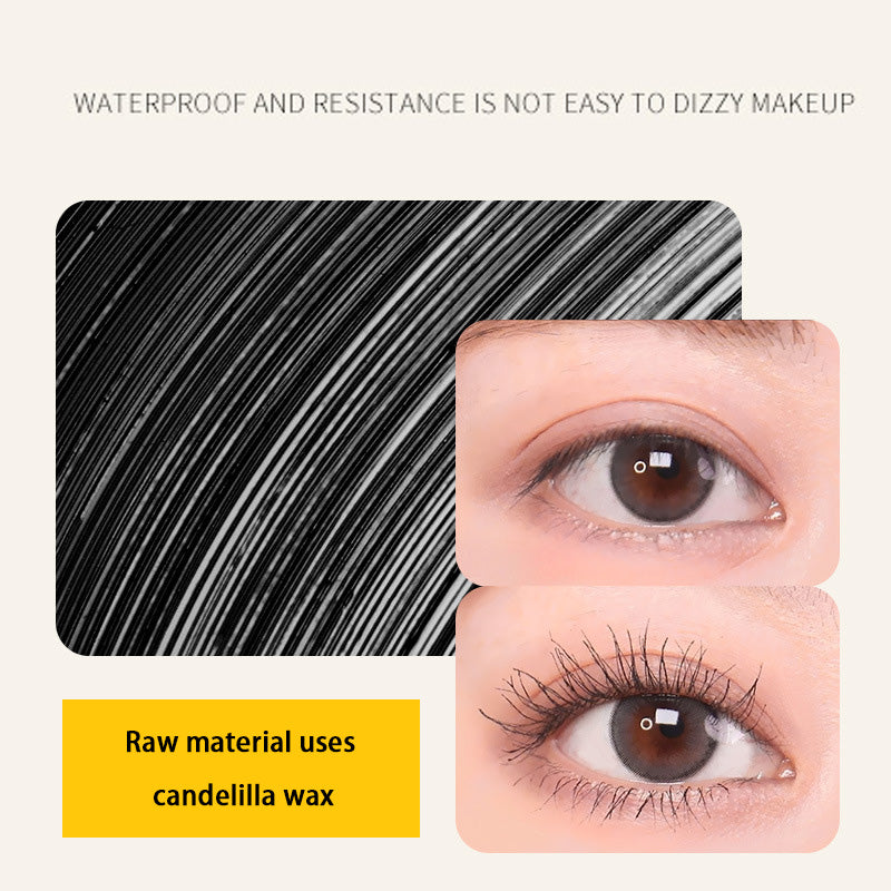 Curling Mascara Waterproof, Sweatproof, Not Smudge-resistant, Long-lasting Lashes